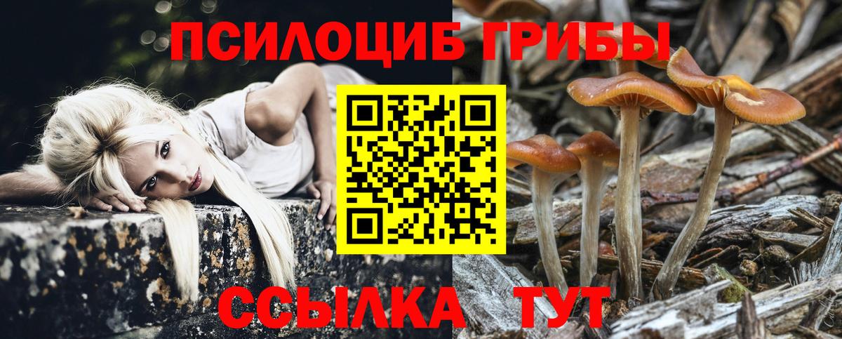 Псилоцибиновые грибы Psilocybe  Вход с VPN  где можно купить наркотик  Красный Сулин 